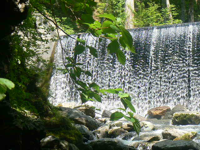 f0164503_16251816.jpg