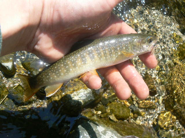 f0164503_16283119.jpg