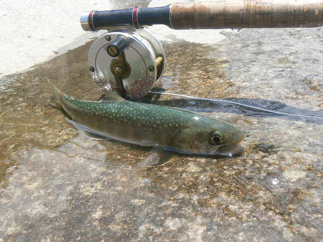 f0164503_1684130.jpg