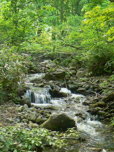 f0164503_18163250.jpg