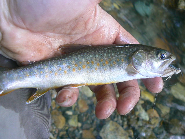 f0164503_1863275.jpg
