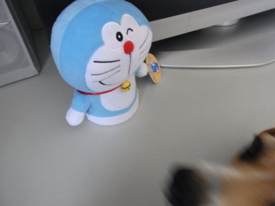 c0205806_166348.jpg