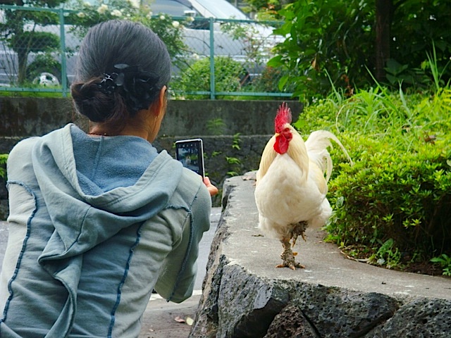 d0126508_3151614.jpg