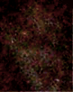 e0103408_1129034.gif
