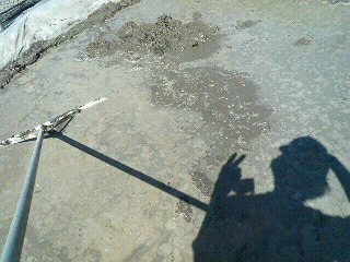 f0127408_20344569.jpg
