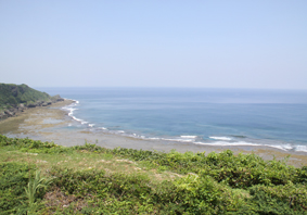 e0139312_15563176.jpg