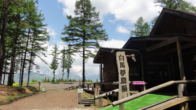 f0233414_045881.jpg