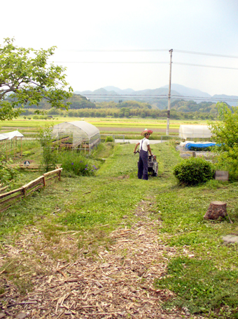 e0015915_16103523.jpg