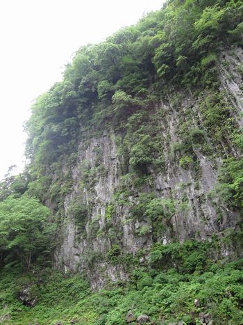 c0094218_1034469.jpg