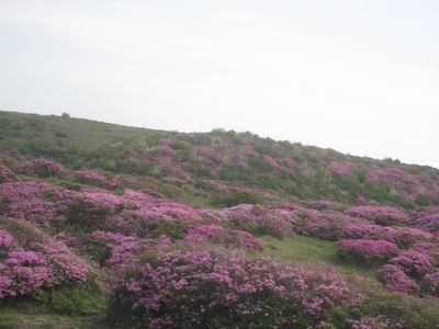 c0094218_10355624.jpg