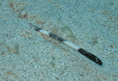 f0041021_19272827.jpg