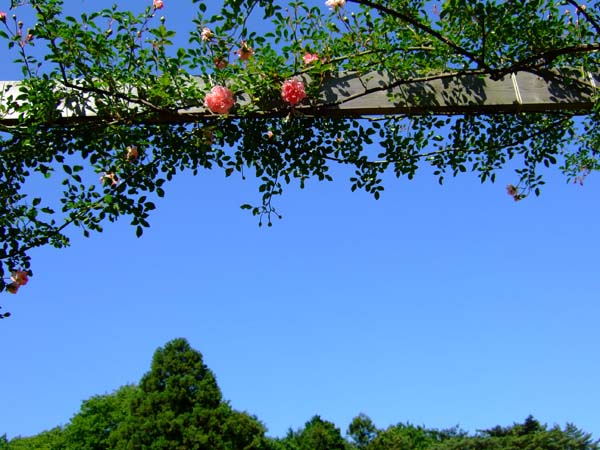f0147025_19323667.jpg