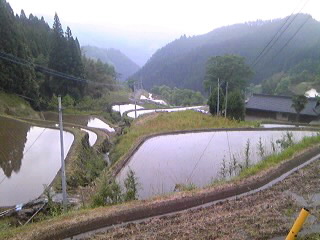 d0014229_0562069.jpg