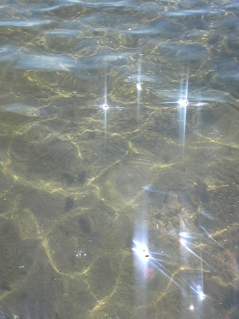 e0162331_17583535.jpg