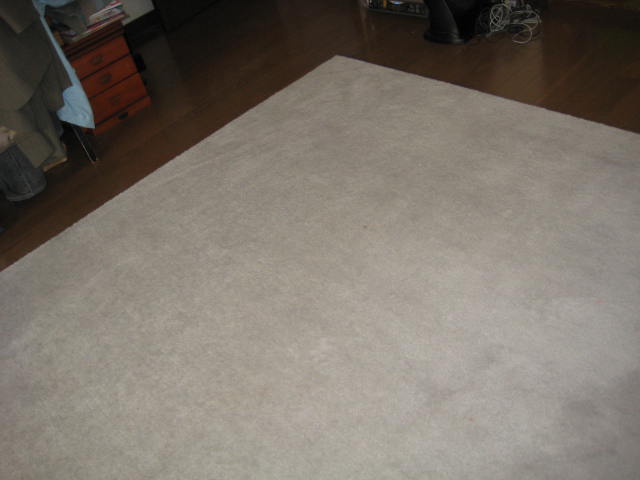 e0166032_1735166.jpg