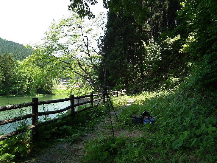 f0118332_22367100.jpg