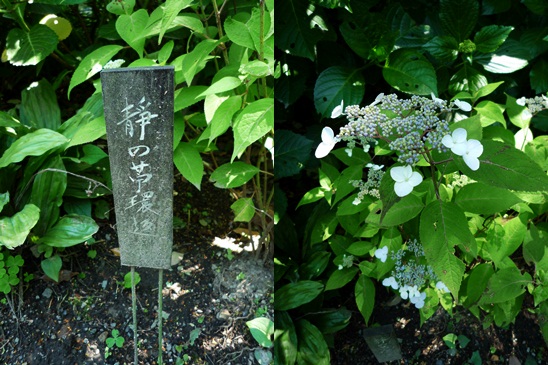 d0037233_15295862.jpg