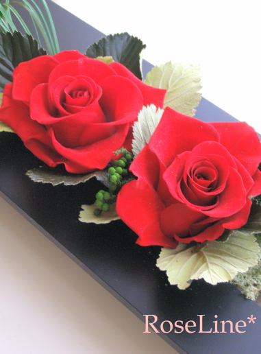 f0238135_7501631.jpg