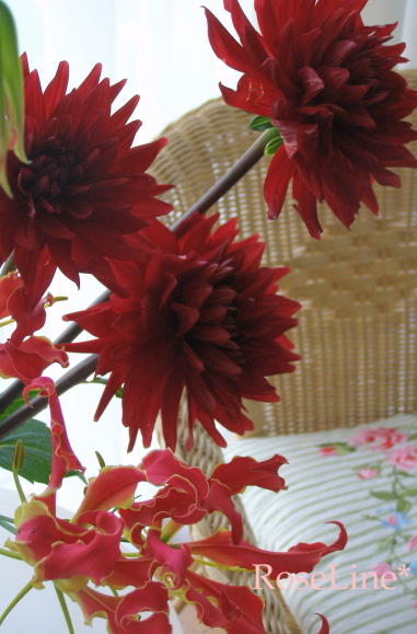 f0238135_7505234.jpg