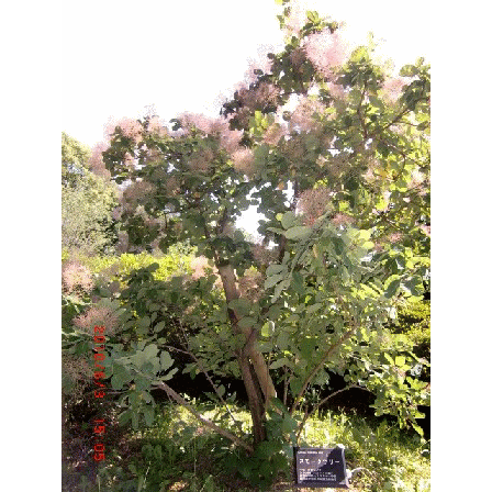 b0012636_20272131.gif