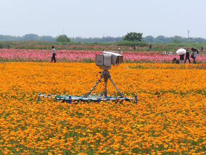 d0093936_2057566.jpg