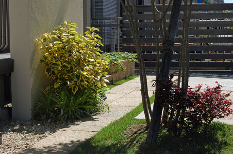 d0164443_229737.jpg