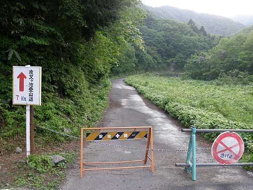 c0042847_15355156.jpg