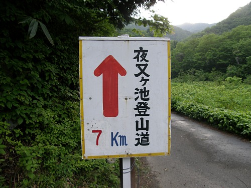 c0042847_1536794.jpg