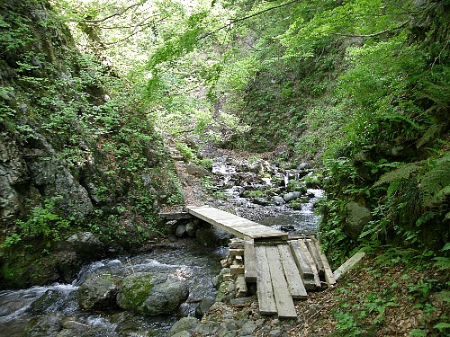 c0042847_15374840.jpg