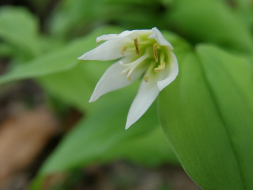 c0042847_15424545.jpg