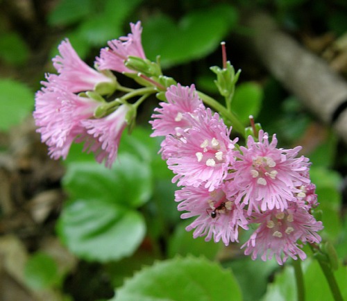 c0042847_15432222.jpg