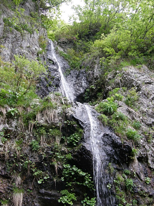 c0042847_15442521.jpg