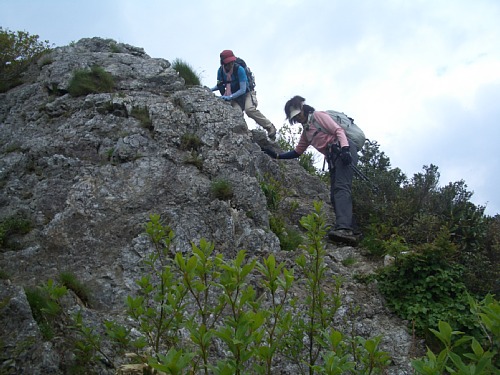 c0042847_1547446.jpg