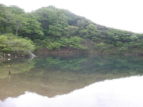 c0042847_15501558.jpg