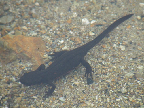 c0042847_15511651.jpg