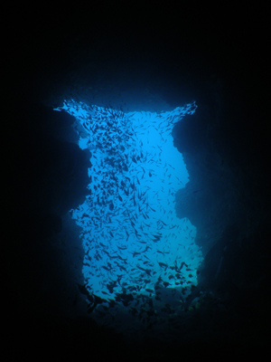 d0065247_9185178.jpg