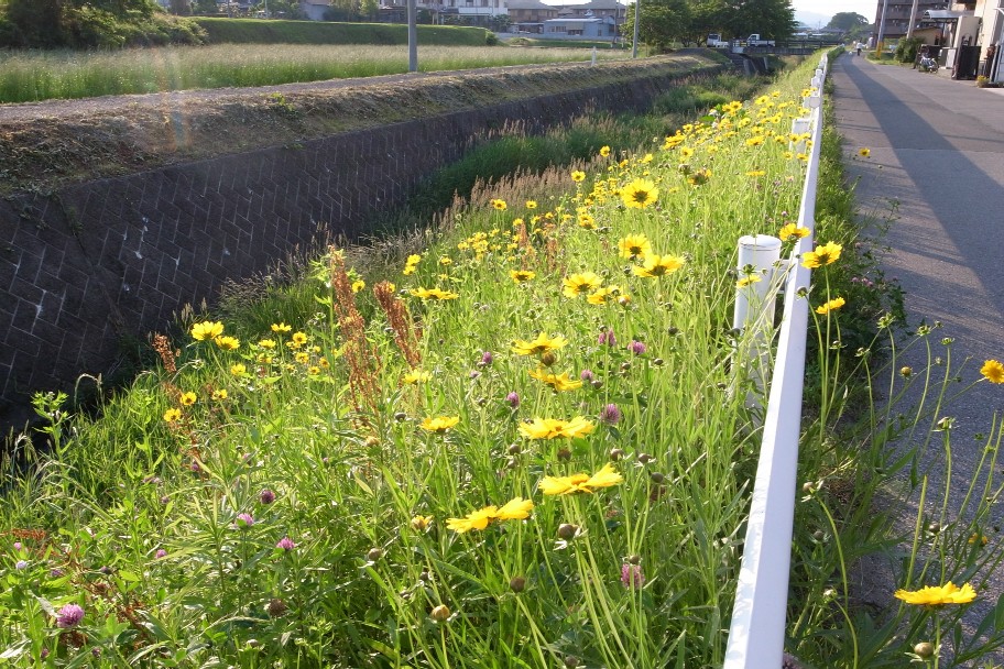 e0009147_9183492.jpg