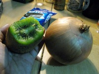 佐野まり　Mari Sano