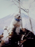 b0119950_10245677.jpg
