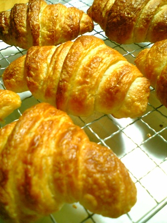b0057359_0115570.jpg