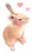 e0166066_17484479.gif