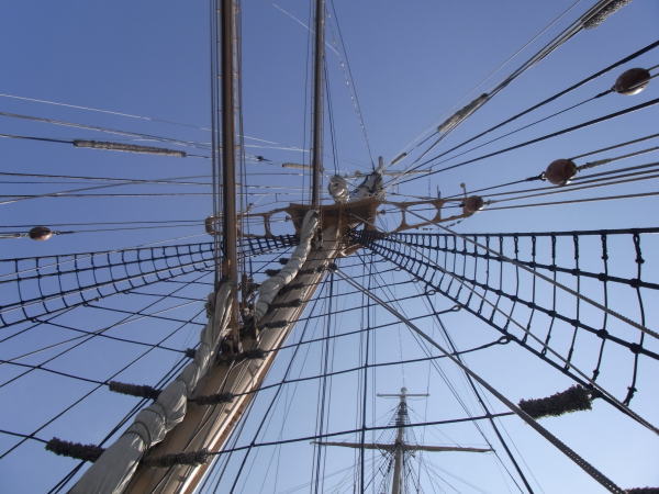 e0153367_1610918.jpg