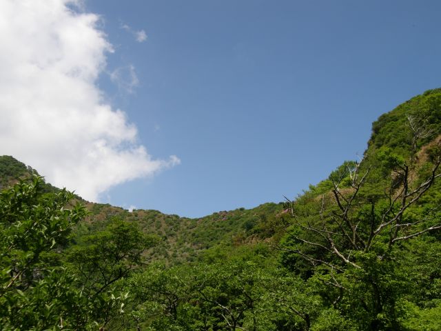 c0042869_18512110.jpg