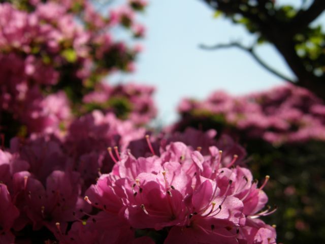 c0042869_18591192.jpg