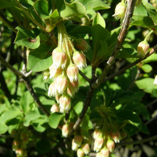 c0042869_1914850.jpg