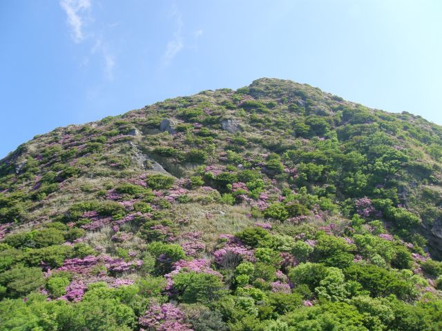 c0042869_1934313.jpg