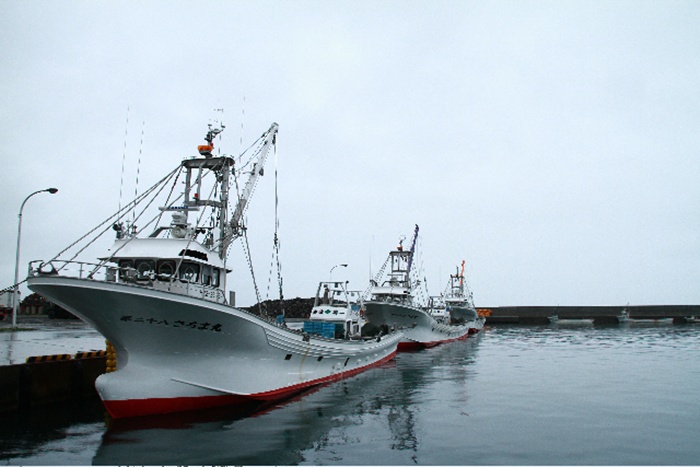 d0005370_1813721.jpg