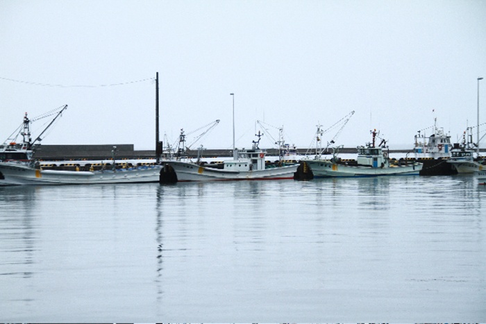 d0005370_181969.jpg