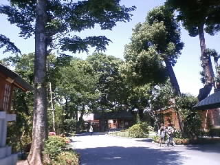 d0078172_23203390.jpg