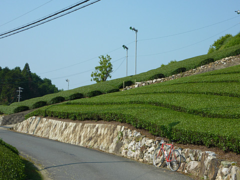 c0107075_2385810.jpg